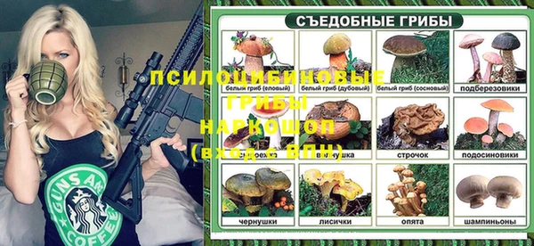 прущая мука Алзамай