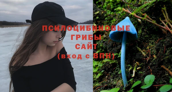 шишки Алексеевка
