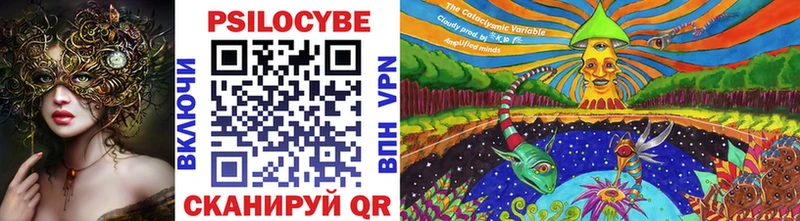 цена наркотик  Благодарный  Псилоцибиновые грибы Psilocybe 