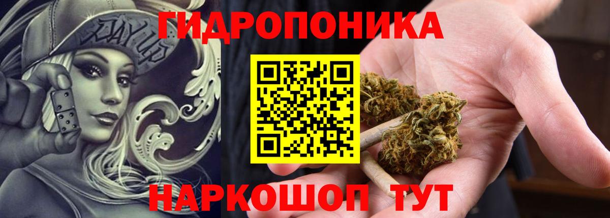 Марихуана ГИДРОПОН  Марихуана индика  Бошки марихуана сатива  Вход с VPN  Благодарный 